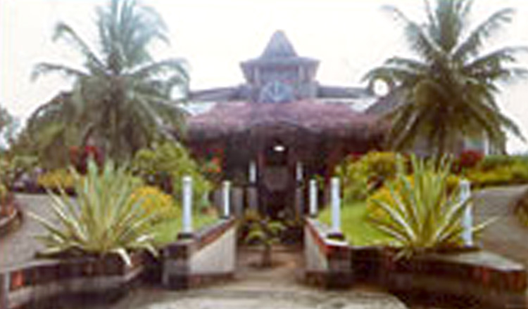 ゴア大学